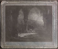 Conservation image