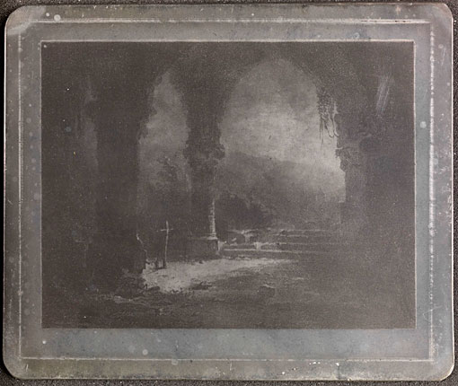 Conservation image