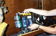 Conservation image