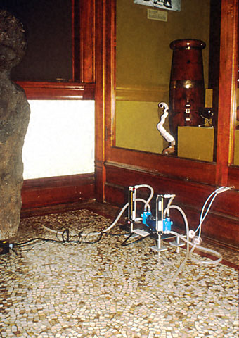 Conservation image