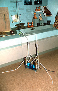 Conservation image