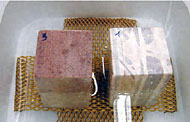 Conservation image