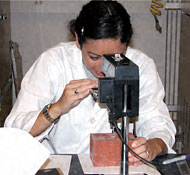 Conservation image