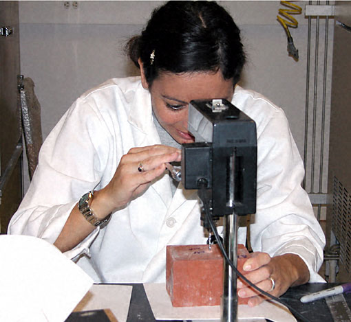 Conservation image
