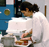 Conservation image