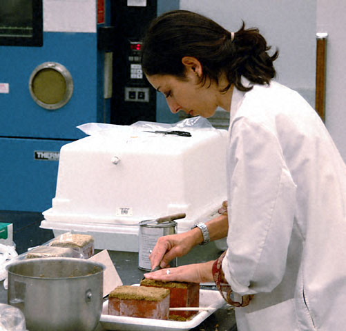 Conservation image