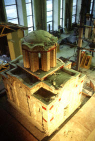 Conservation image