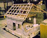 Conservation image