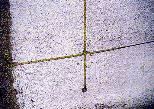 Conservation image