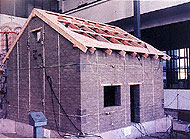Conservation image