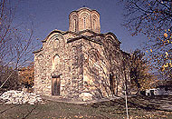 Conservation image