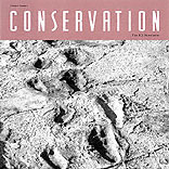 Newsletter Cover