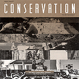 Newsletter Cover