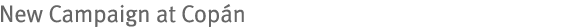 New Campaign at Copán