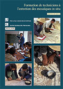Formation de technicians á l'entretien des mosaiques in situ, Édition 2011