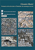 Glossaire illustré: Formation de techniciens à l'entretien des mosaïques in situ (2013)