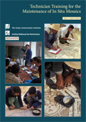 Technician Training for the Maintenance of In Situ Mosaics