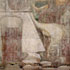 conservation image