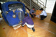 Conservation image