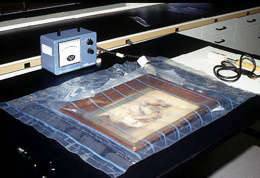 Conservation image