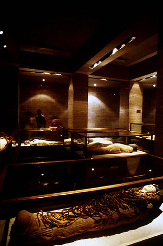 Conservation image
