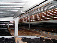 Conservation image