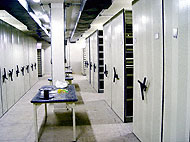 Conservation image