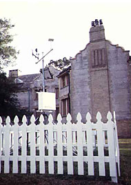 conservation image 