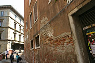 conservation image