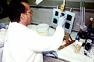 Conservation image