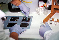 Conservation image