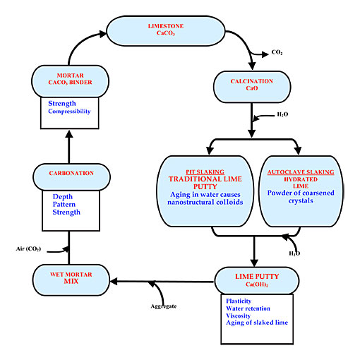 conservation image