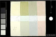 conservation image