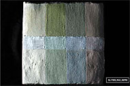 conservation image
