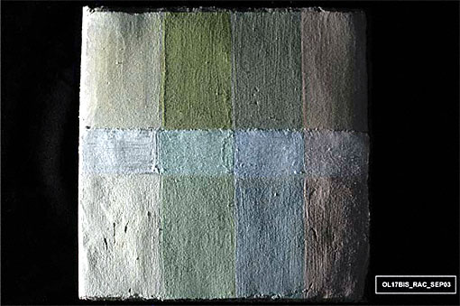 conservation image