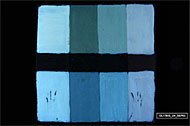 conservation image