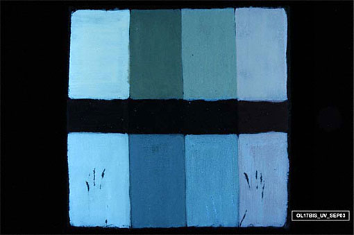 conservation image