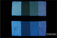 conservation image