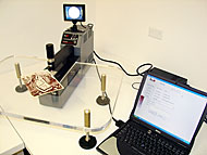 Conservation image