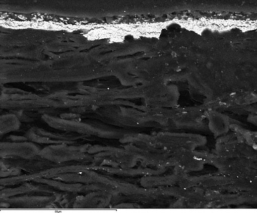 Conservation image