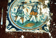 Conservation image