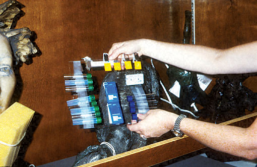 Conservation image