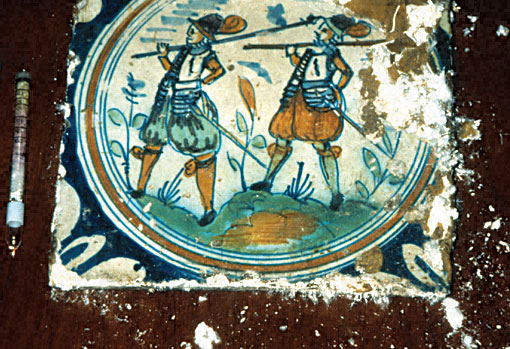 Conservation image