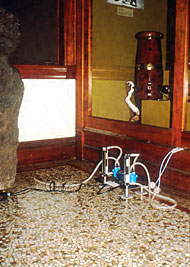 Conservation image