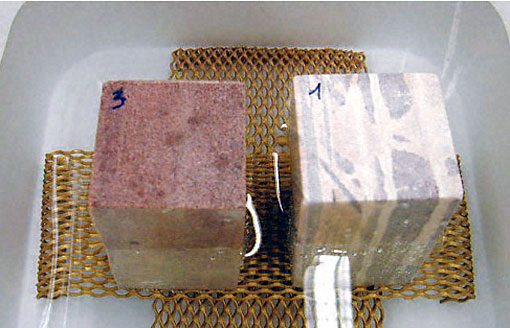 Conservation image