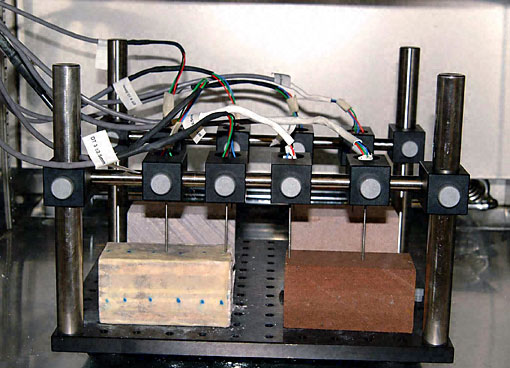 Conservation image