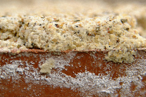 Conservation image