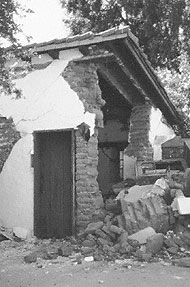 Conservation image