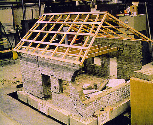 Conservation image