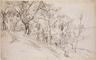 Forest in Boisremond / T. Rousseau